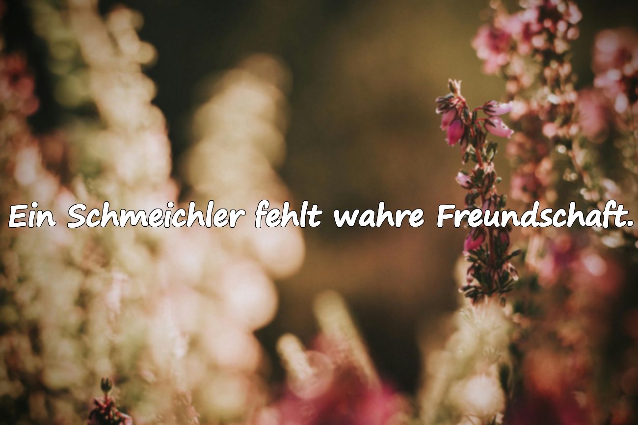 Zitate über Schmeichler