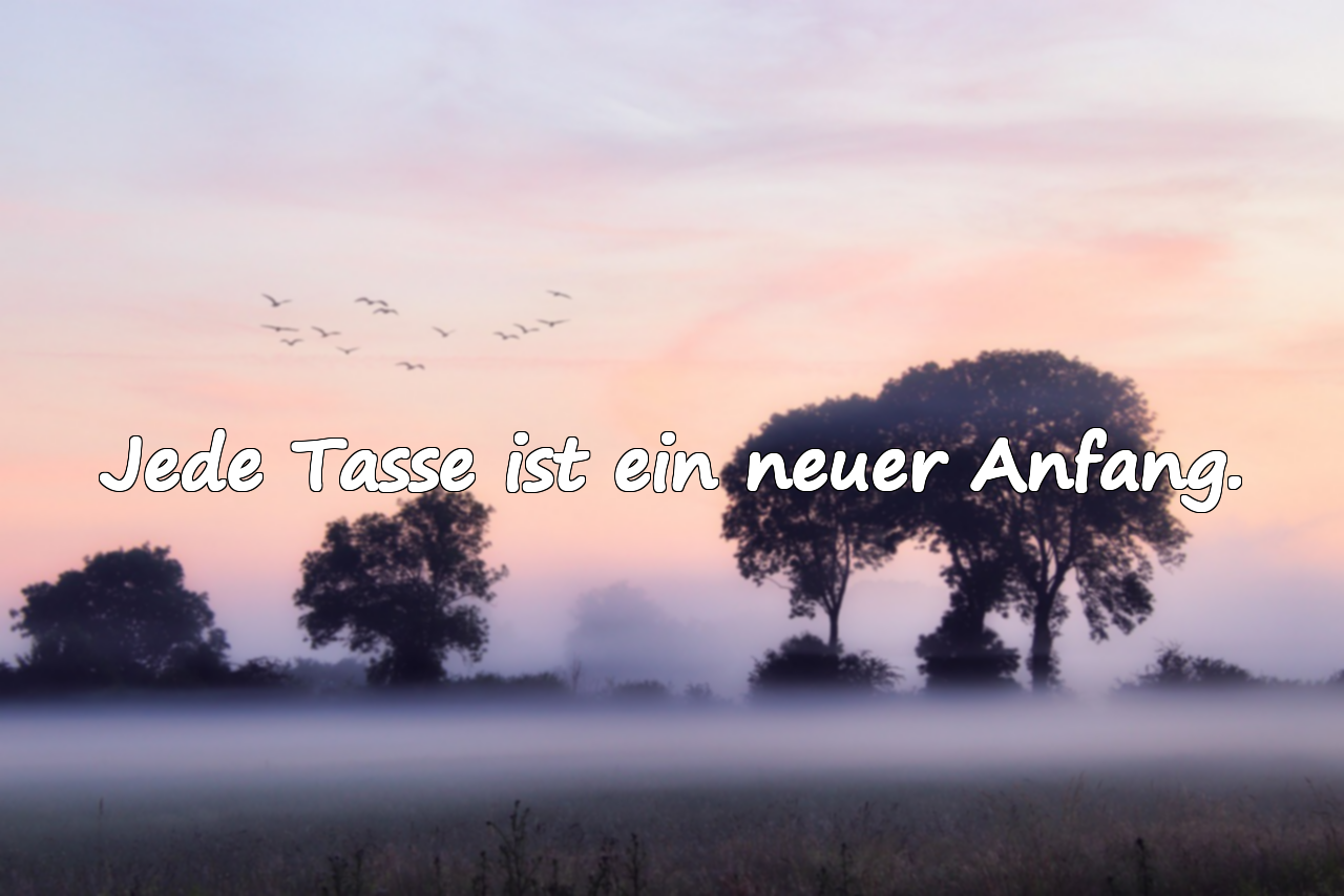 Zitate über Tee