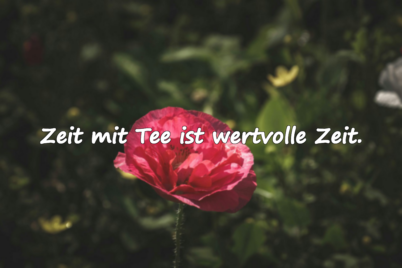 Zitate über Tee