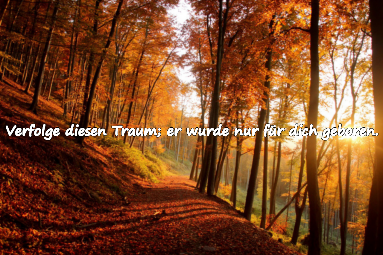 Zitate über Träume