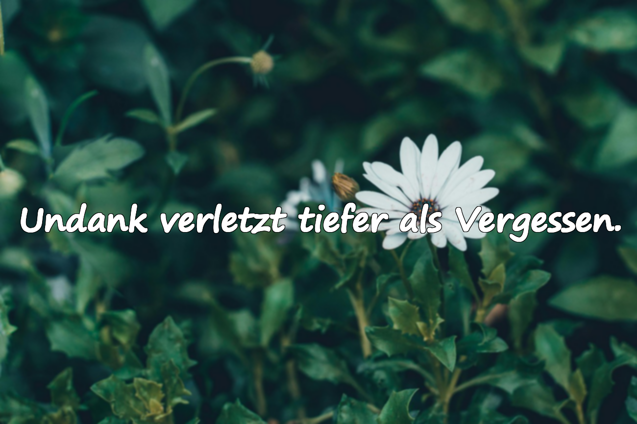 Zitate über Treuelosigkeit