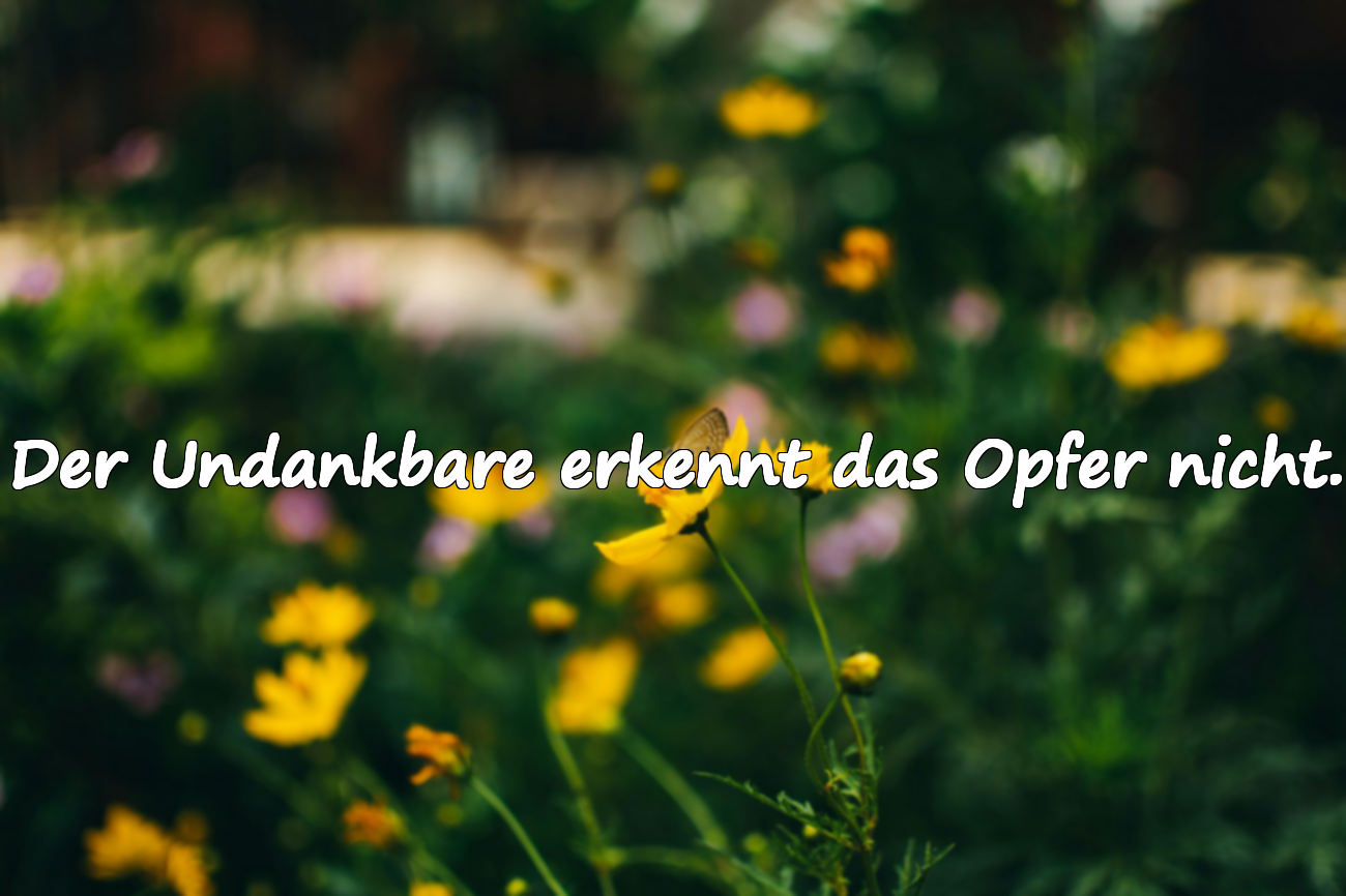 Zitate über Treuelosigkeit
