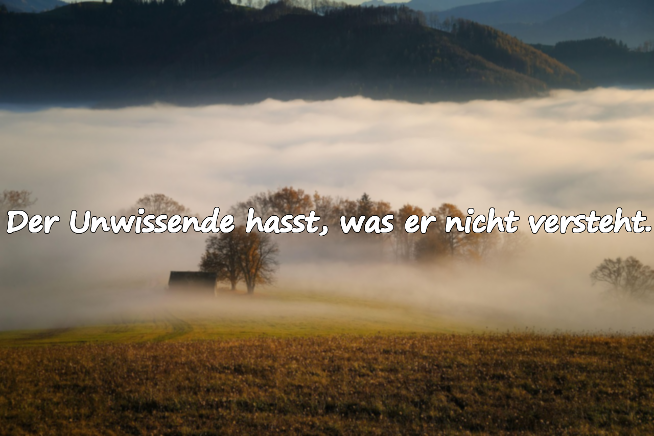 Zitate über Unwissenheit