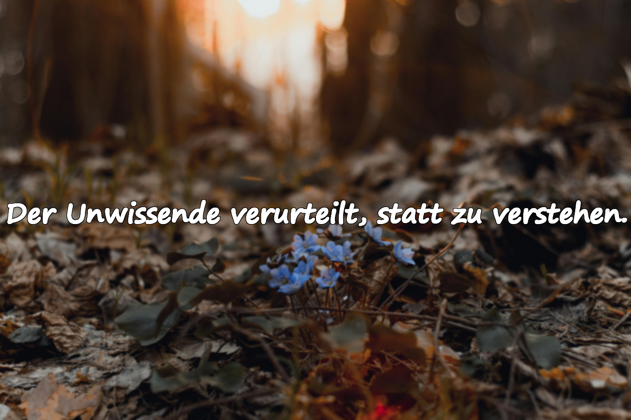 Zitate über Unwissenheit