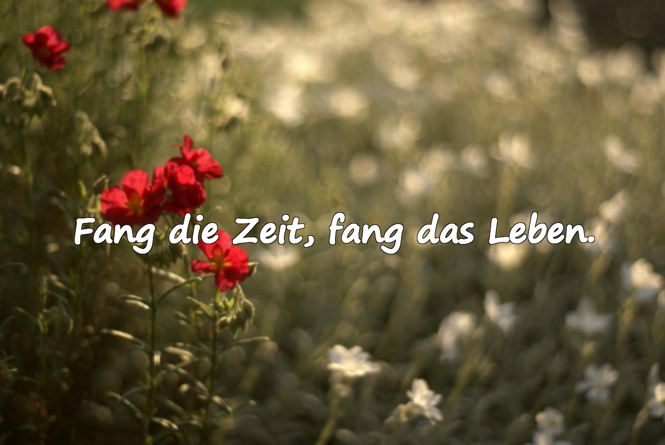 Zitate über Zeit