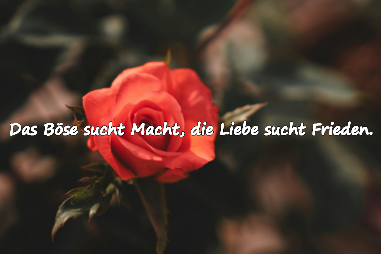 Das Böse sucht Macht, die Liebe sucht Frieden.