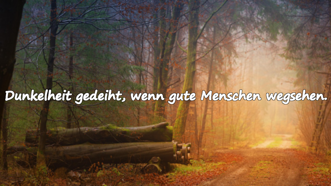 Dunkelheit gedeiht, wenn gute Menschen wegsehen.