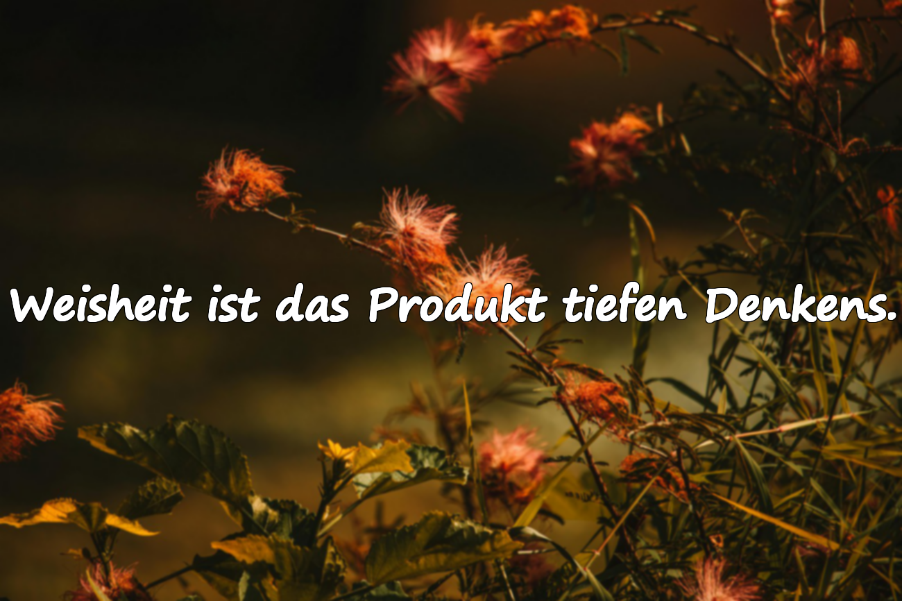 Zitate über das Denken