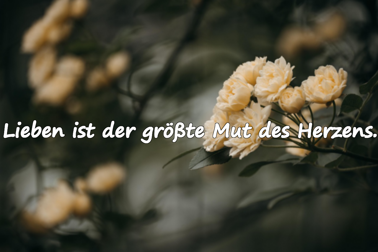 Zitate über das Herz