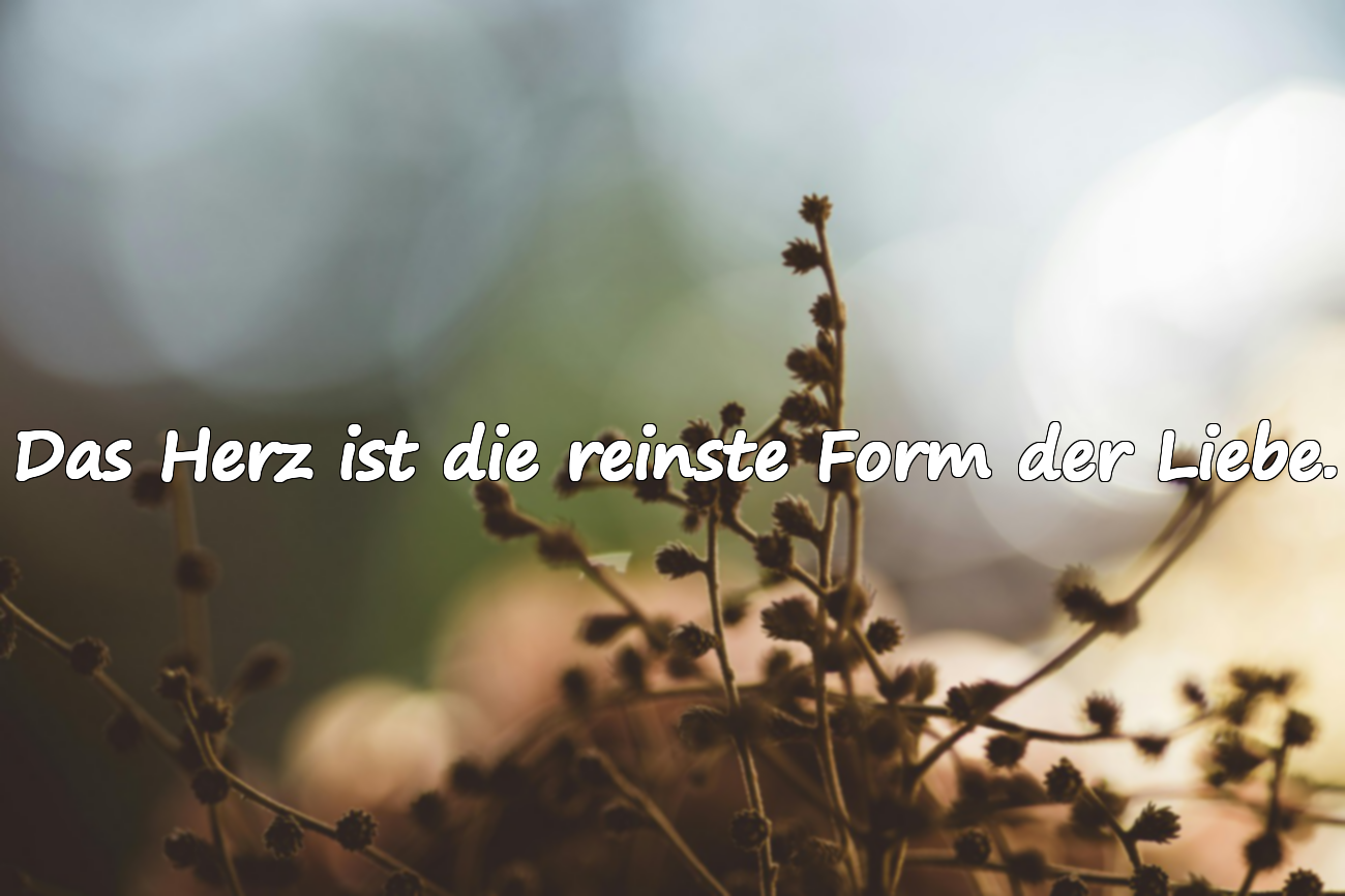 Zitate über das Herz (Seele/Geist)