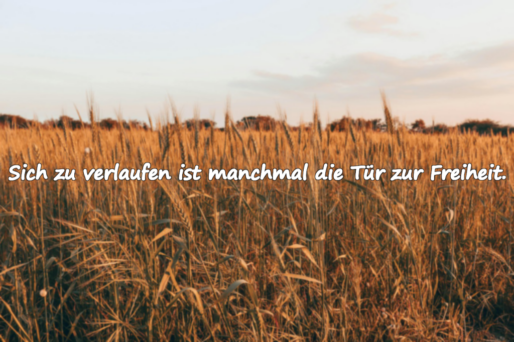 Sich zu verlaufen ist manchmal die Tür zur Freiheit.