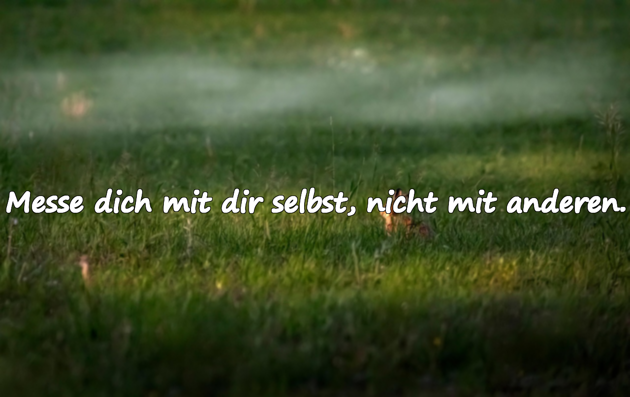 Zitate über das Sporttreiben