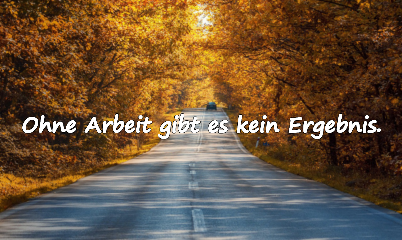 Zitate über das Streben