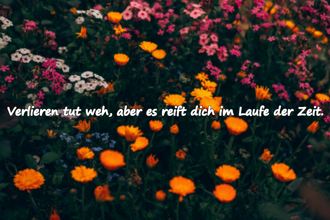 Verlieren tut weh, aber es reift dich im Laufe der Zeit.