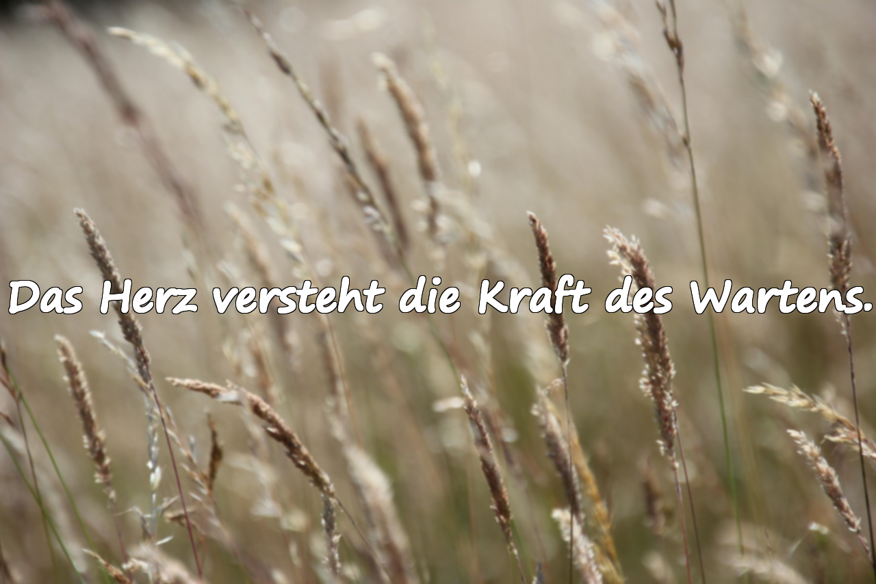 Zitate über das Warten