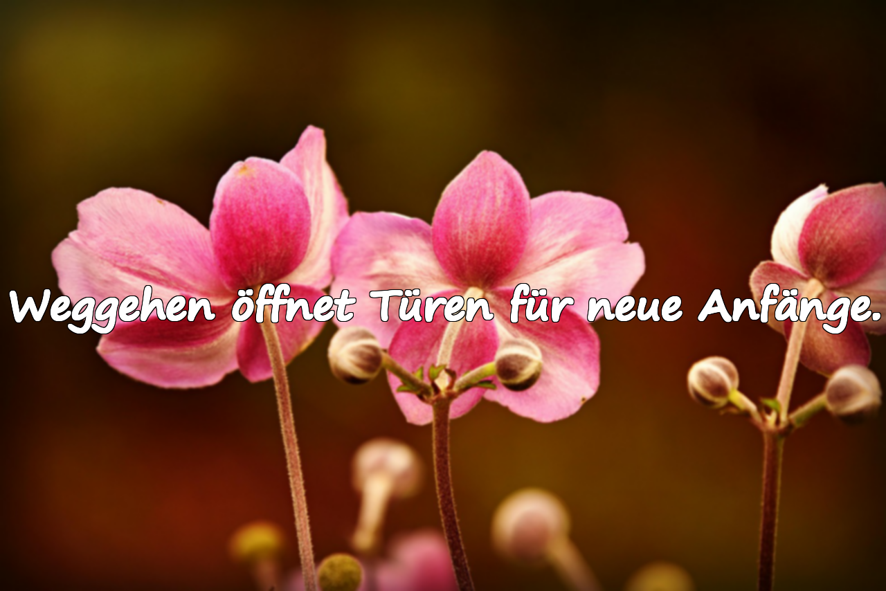 Zitate über das Weggehen