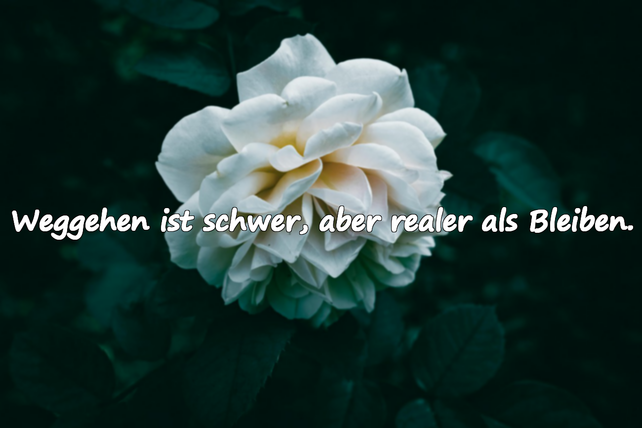 Zitate über das Weggehen