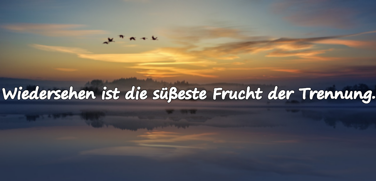 Wiedersehen ist die süßeste Frucht der Trennung.
