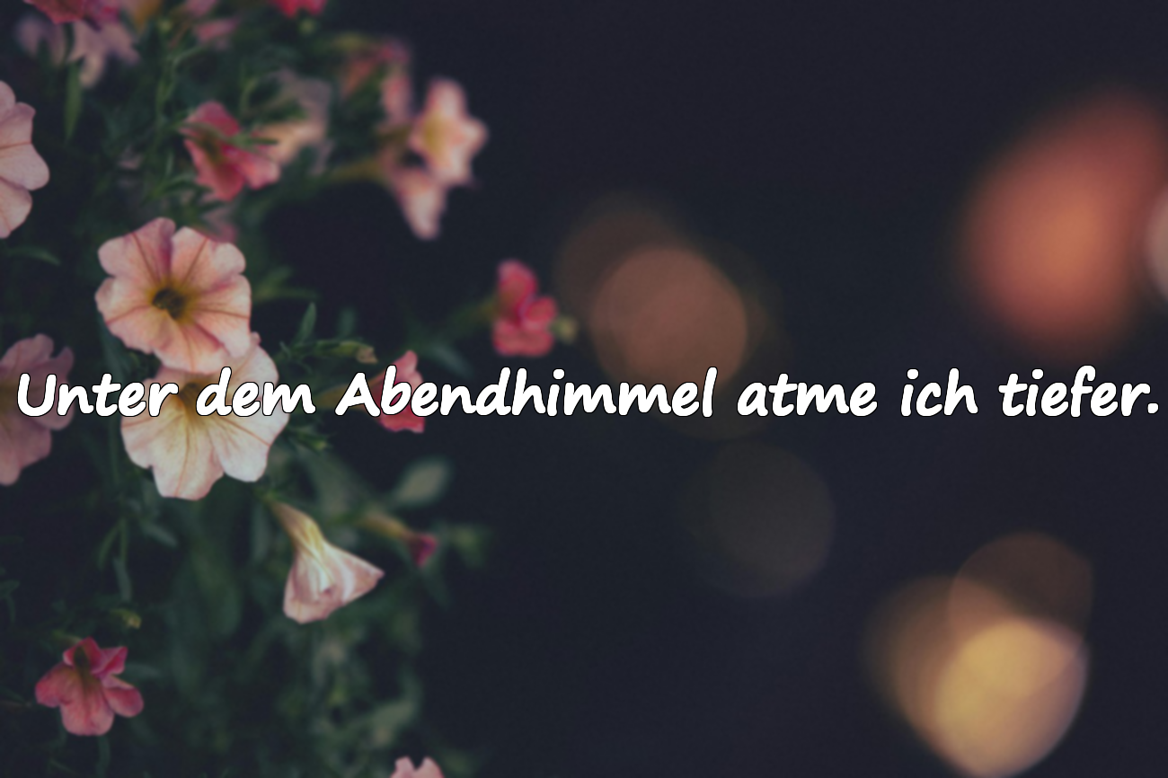 Zitate über den Abend
