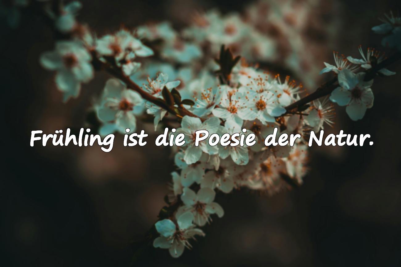 Zitate über den Frühling