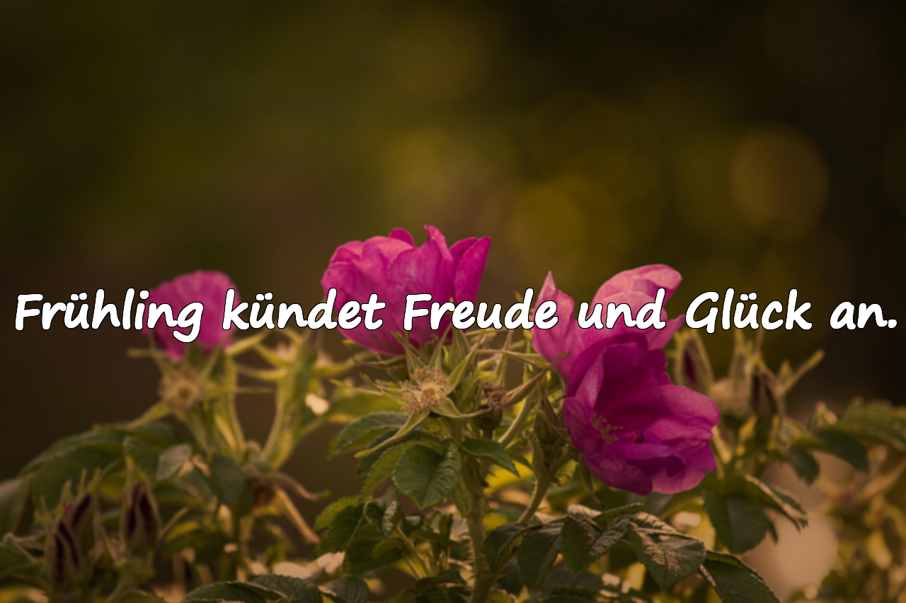 Zitate über den Frühling
