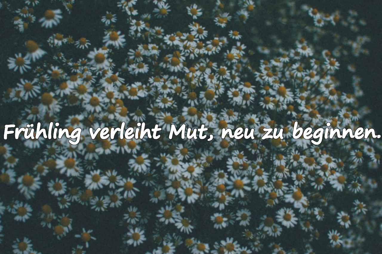Zitate über den Frühling