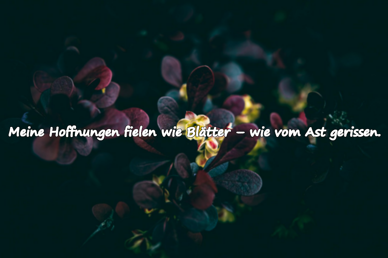 Zitate über den Herbst
