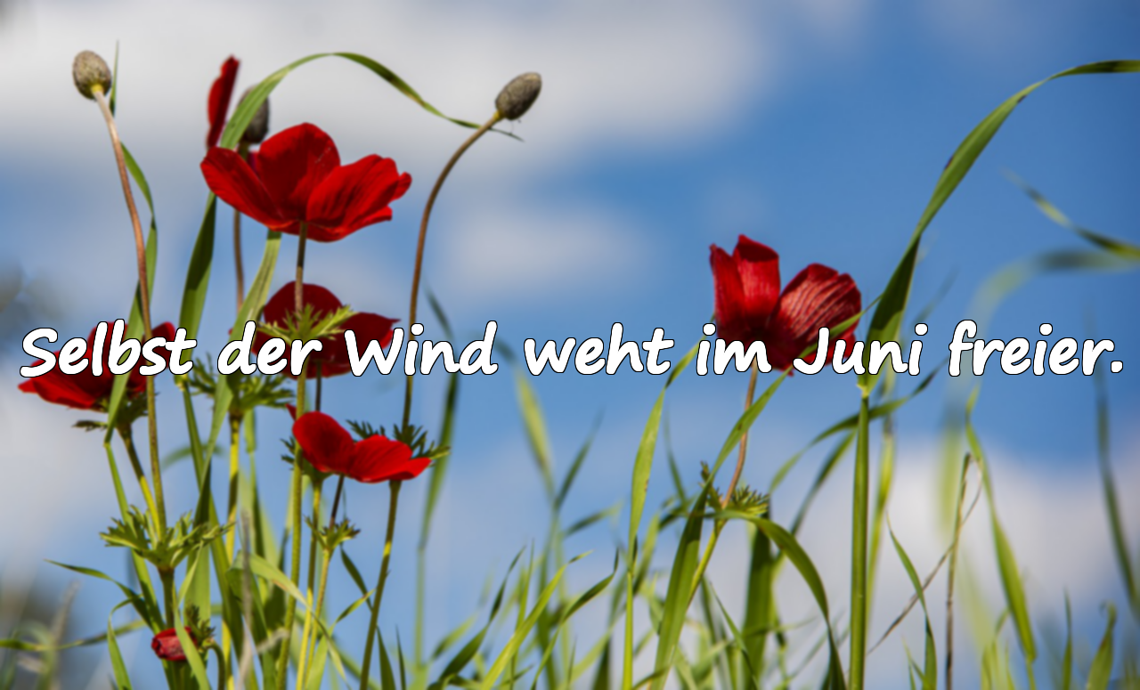 Zitate über den Monat Juni