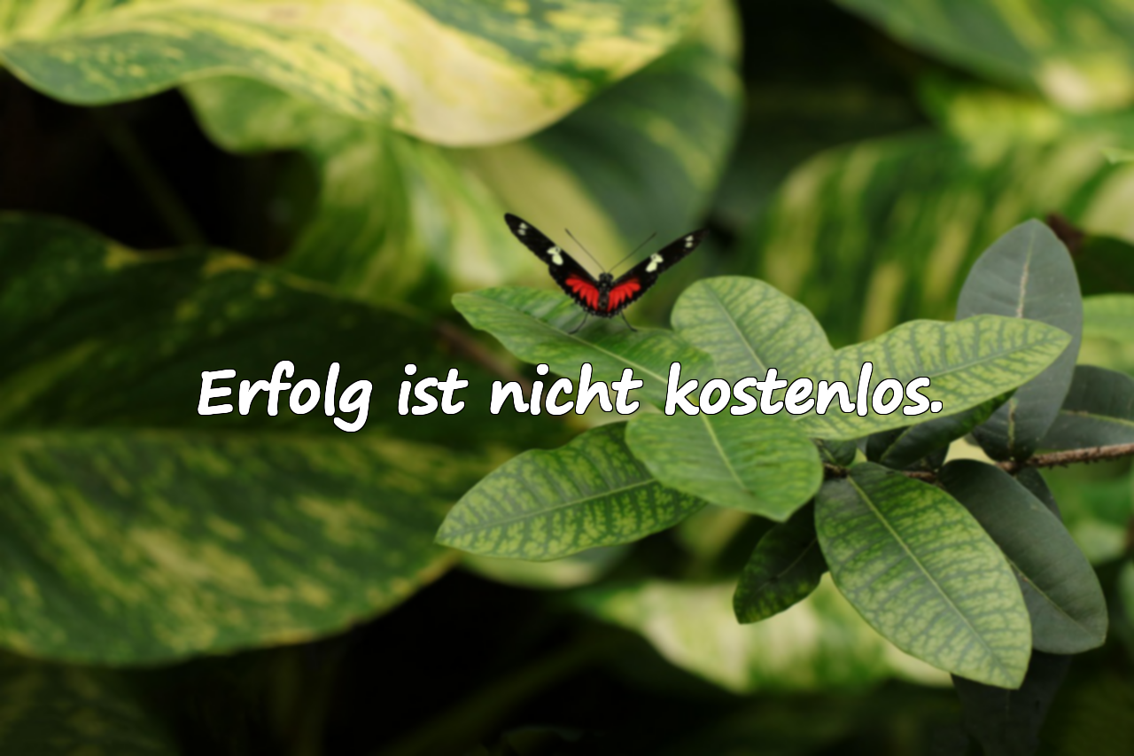 Zitate über den Preis
