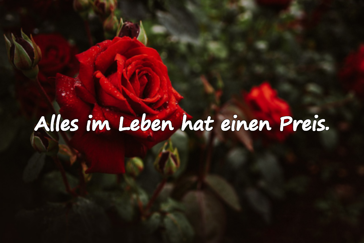 Zitate über den Preis