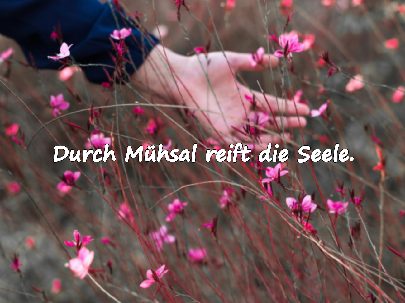 Durch Mühsal reift die Seele.
