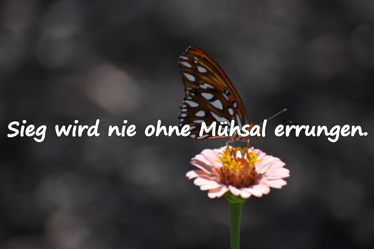 Zitate über die Mühsal