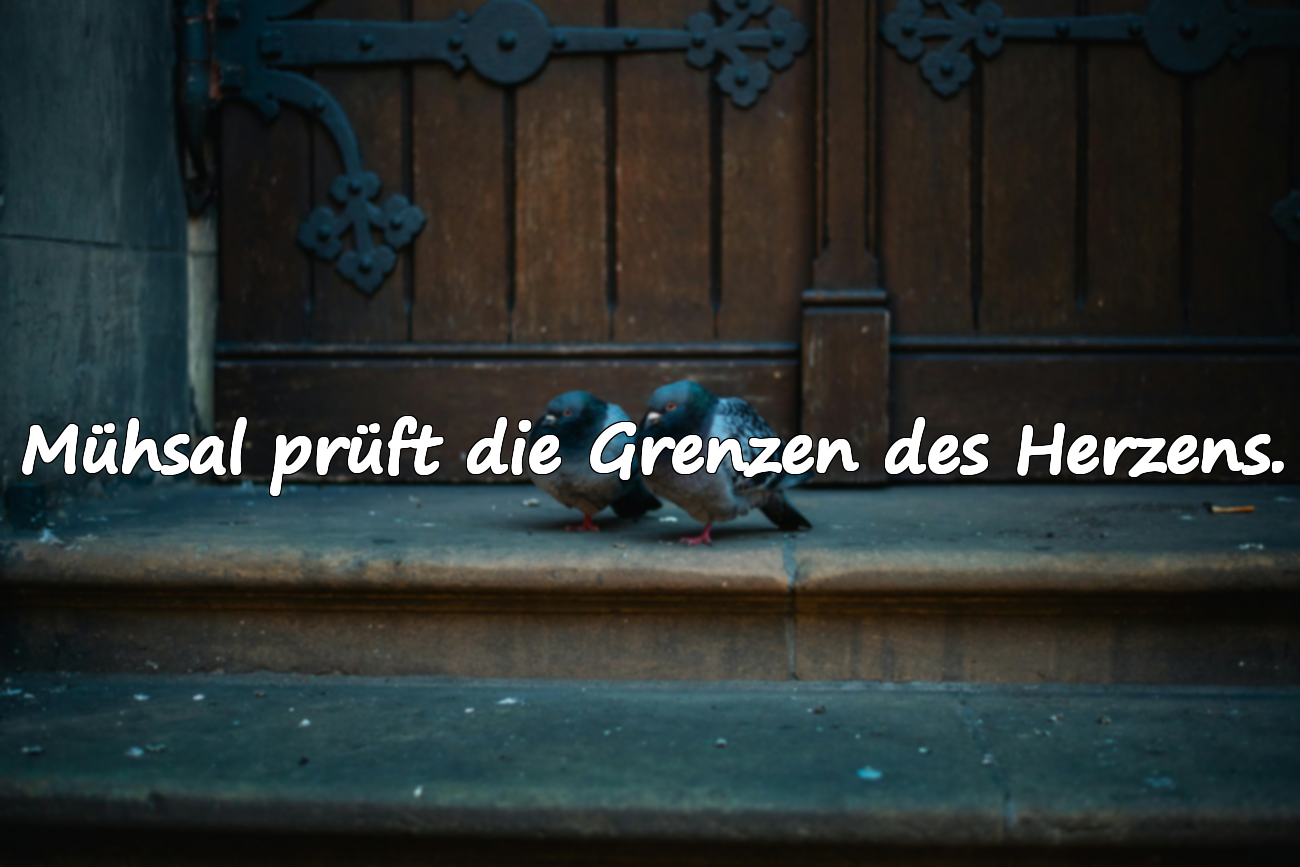 Zitate über die Mühsal