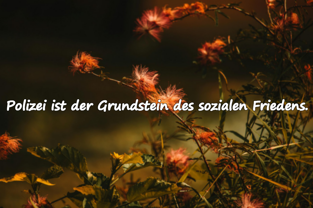 Polizei ist der Grundstein des sozialen Friedens.