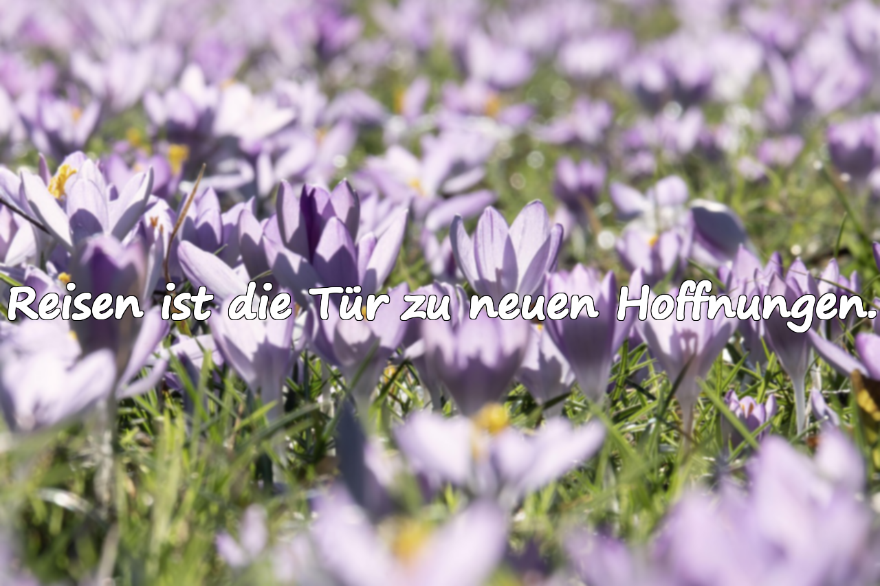 Zitate über die Reise