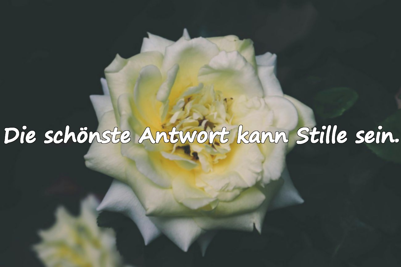 Zitate über die Stille
