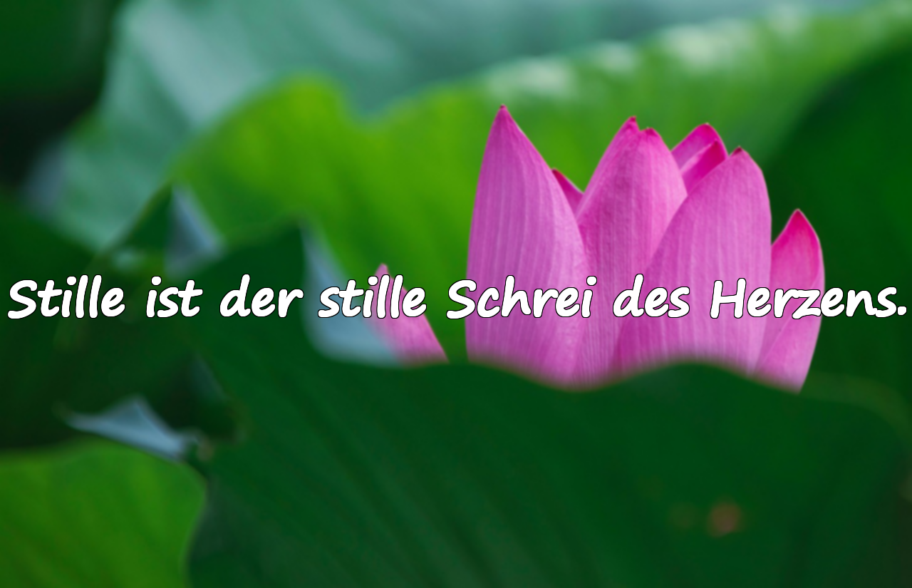 Zitate über die Stille