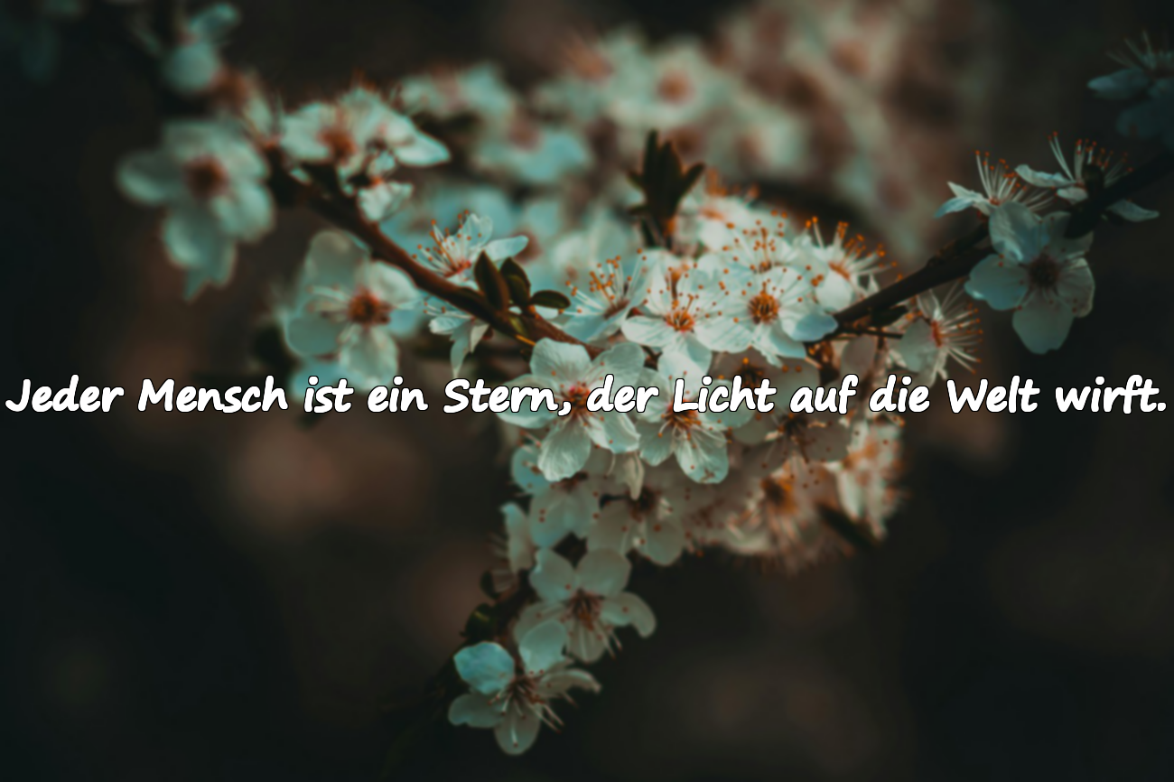 Zitate über die Welt
