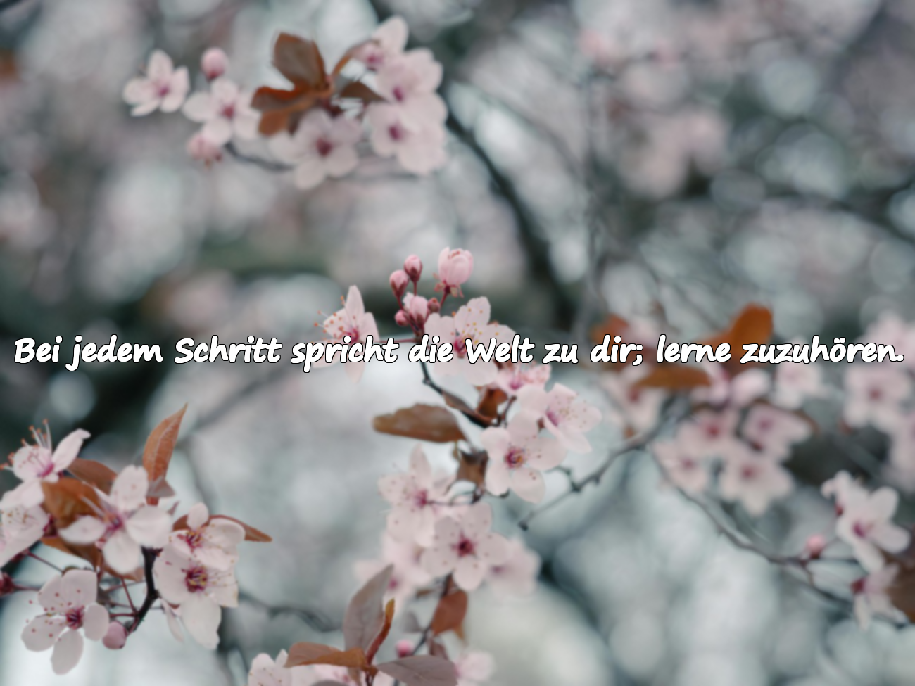 Zitate über die Welt