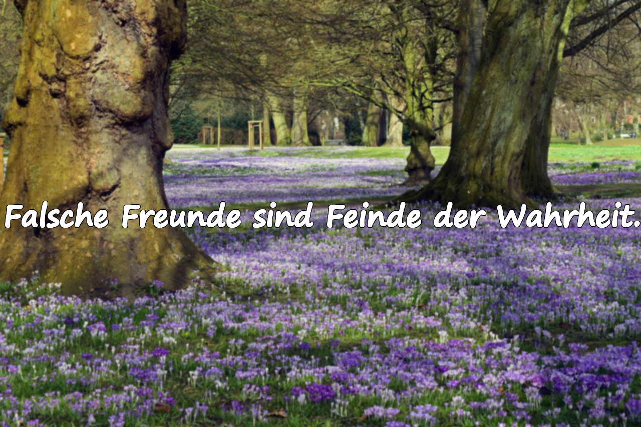 Falsche Freunde sind Feinde der Wahrheit.