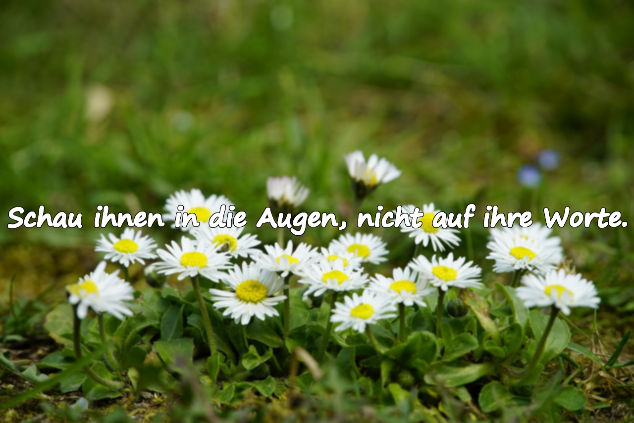Schau ihnen in die Augen, nicht auf ihre Worte.