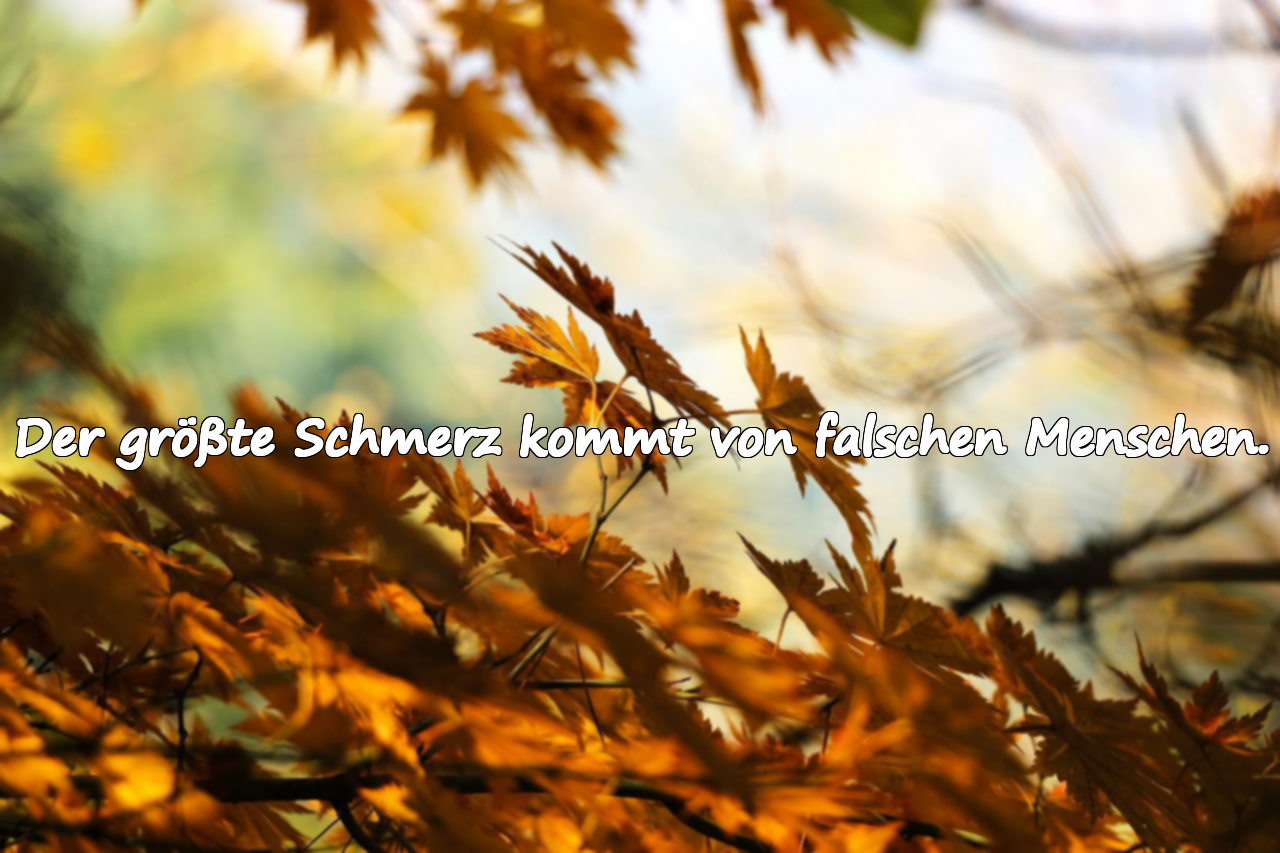 Der größte Schmerz kommt von falschen Menschen.