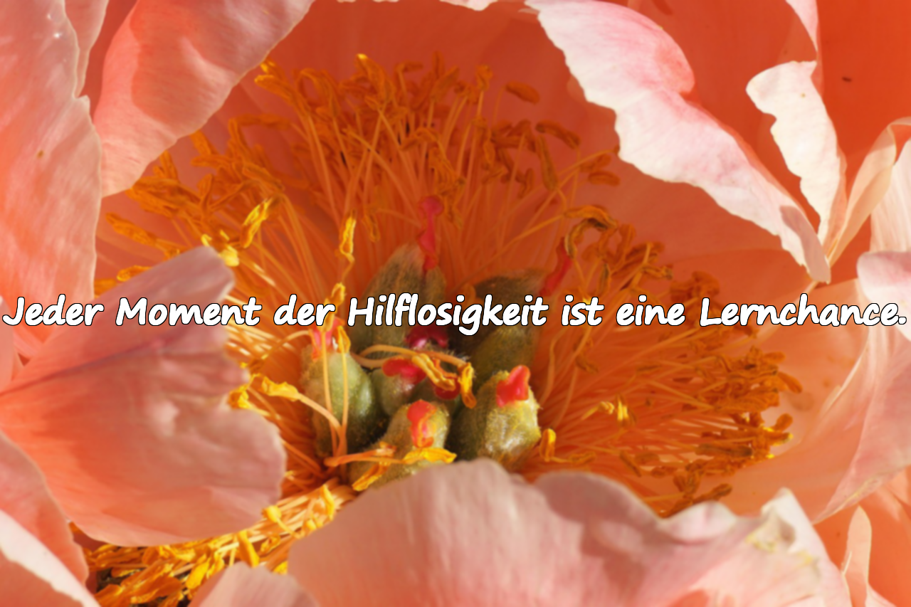 Zitate zur Hilflosigkeit