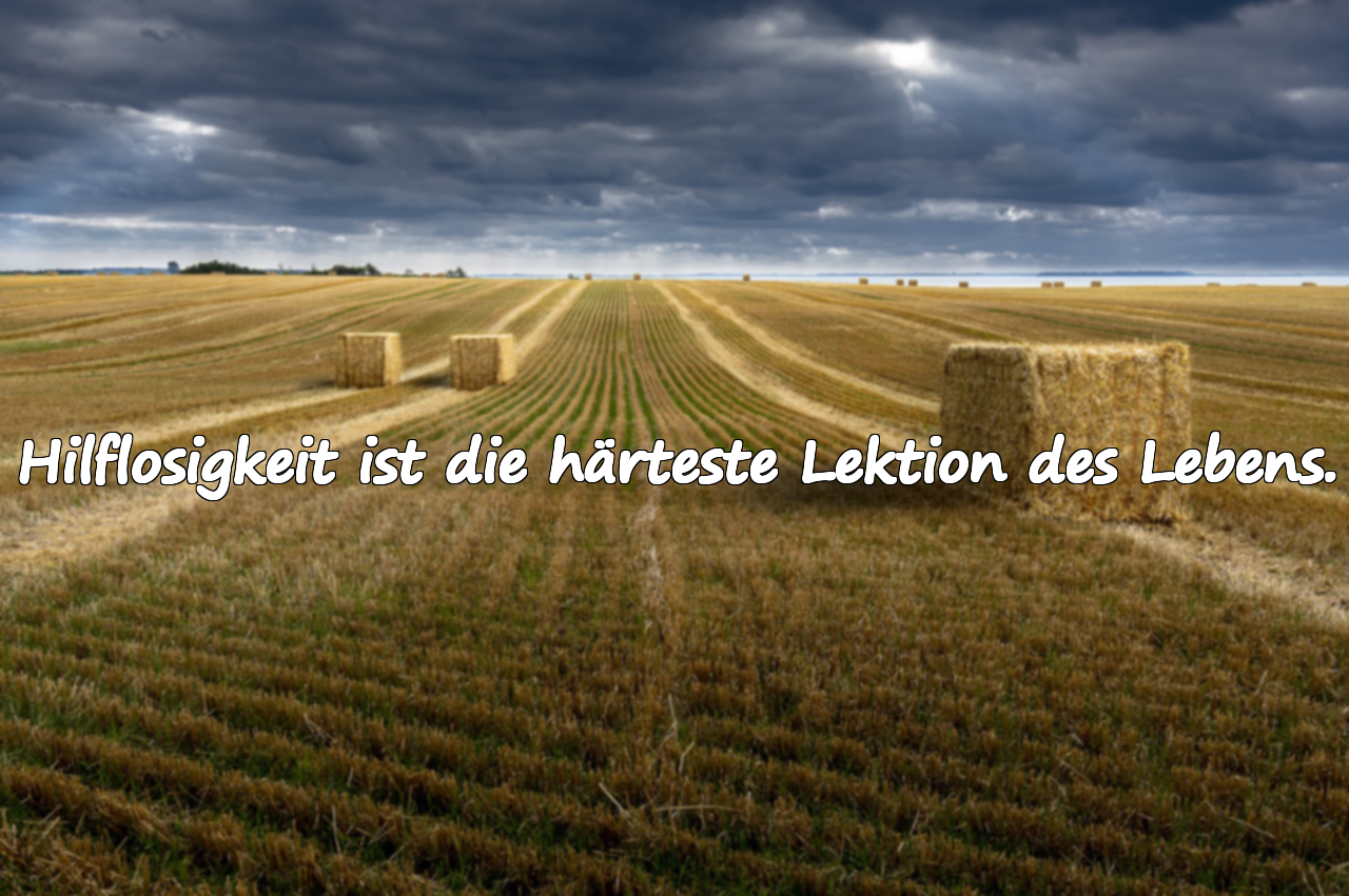 Zitate zur Hilflosigkeit