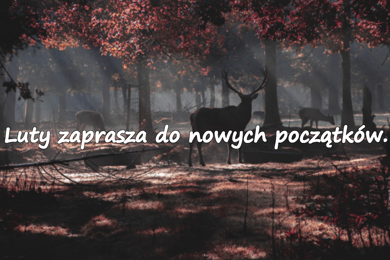 Znaczące Cytaty o Lutym