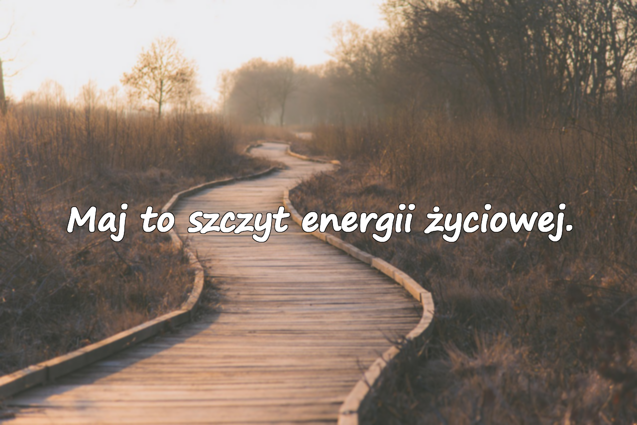 Znaczące Cytaty o Maju
