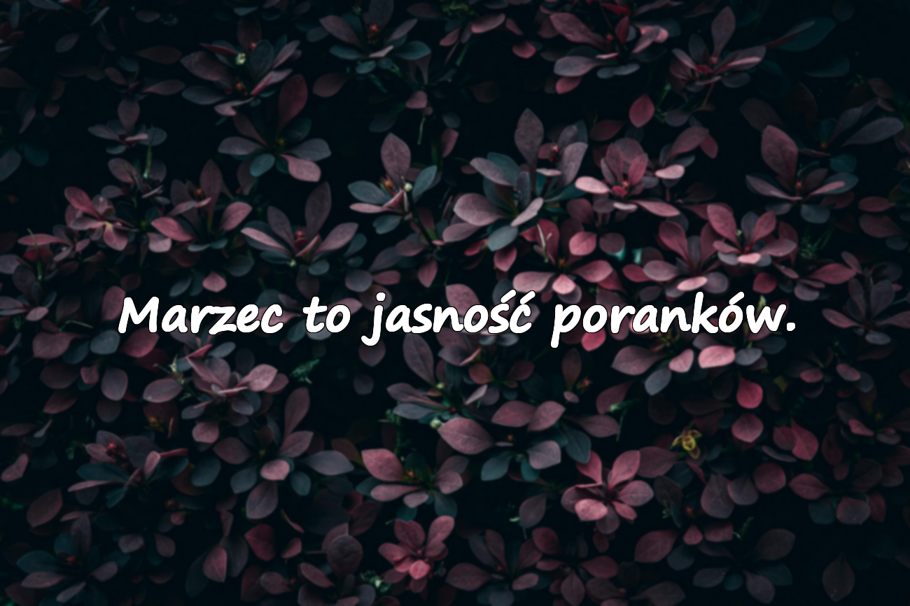 Znaczące Cytaty o Marcu