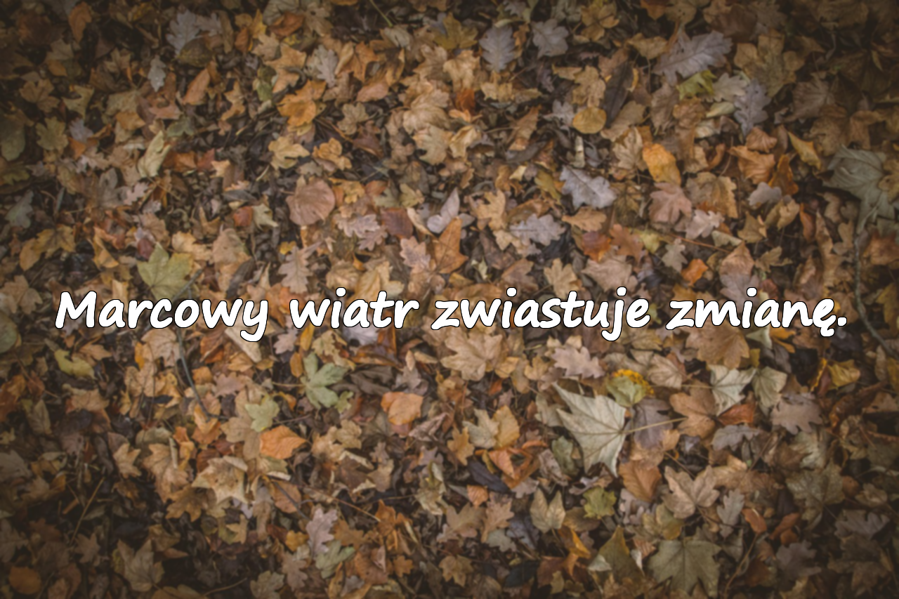 Znaczące Cytaty o Marcu
