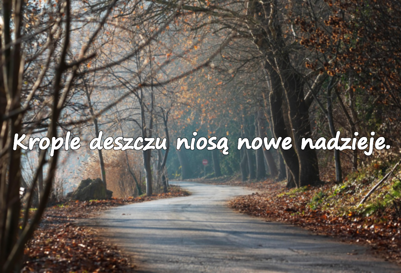 Krople deszczu niosą nowe nadzieje.
