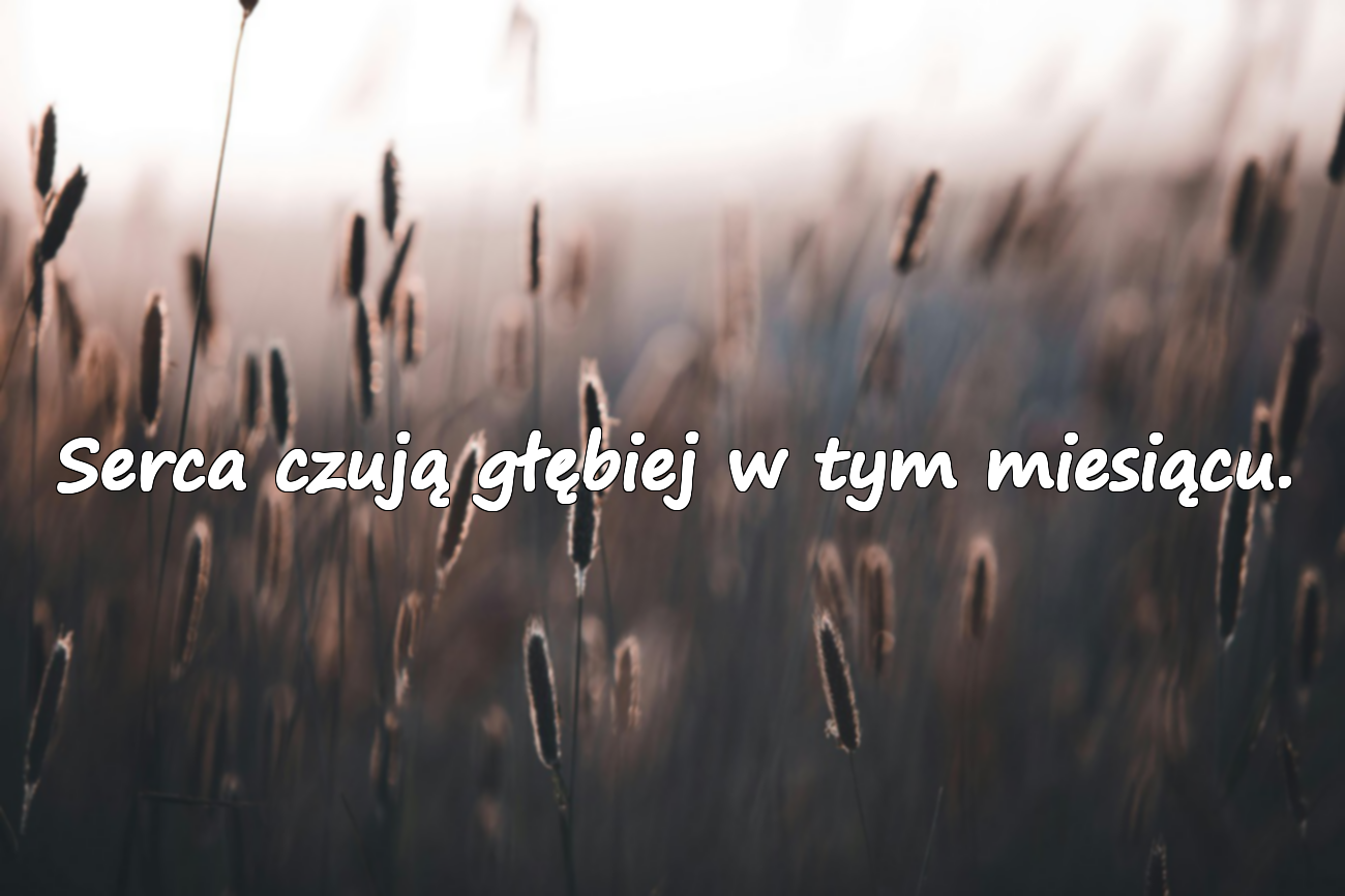 Znaczące Cytaty o Miesiącu Listopadzie